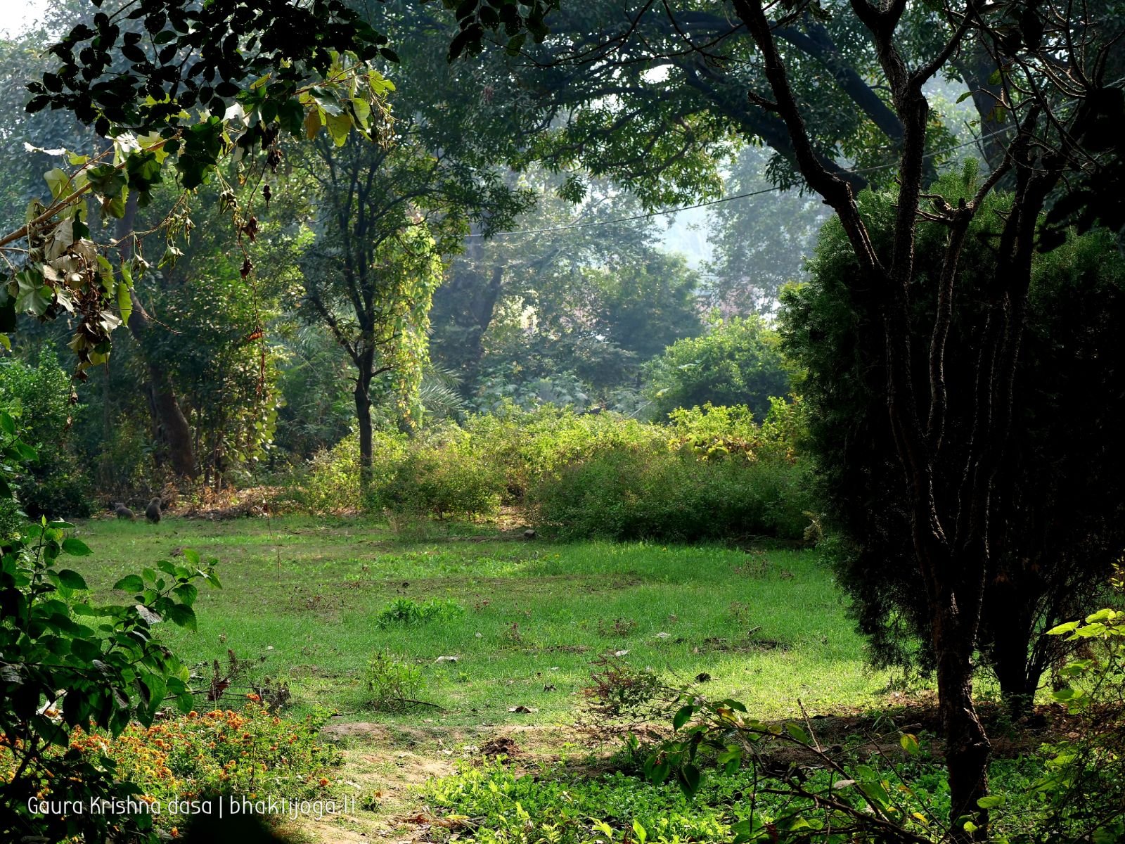  Varshana parikrama and preaching. 2019.12.10